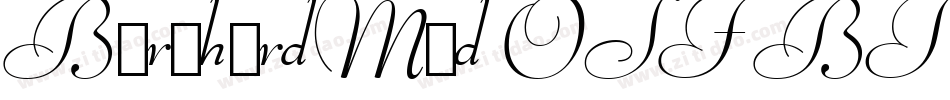 BernhardMod OSF BT Roman字体转换